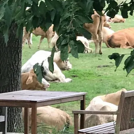 Zauberhaftes Englisches Am Gutshaus