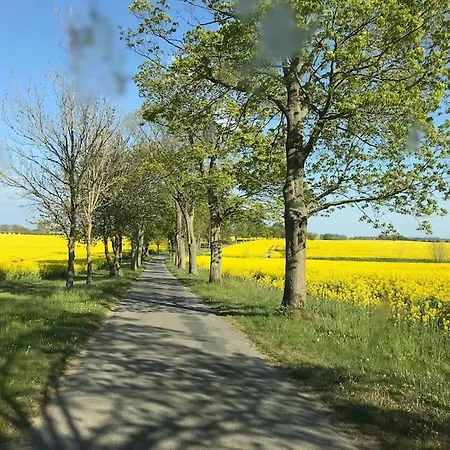 Zauberhaftes Englisches Am Gutshaus