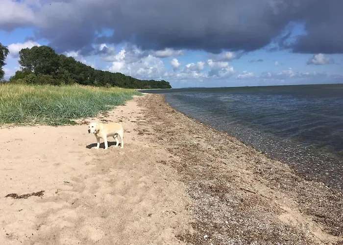 別荘 Zauberhaftes Englisches Am Gutshaus *