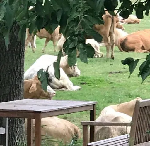 Zauberhaftes Englisches Am Gutshaus