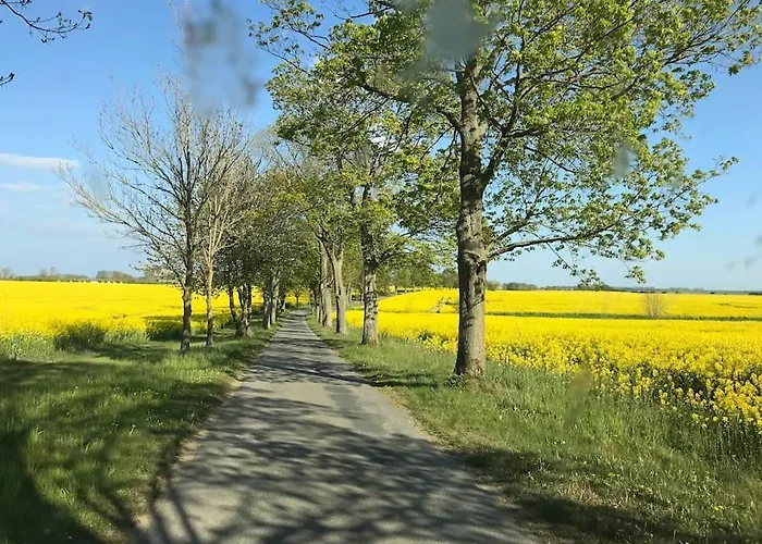 Zauberhaftes Englisches Am Gutshaus